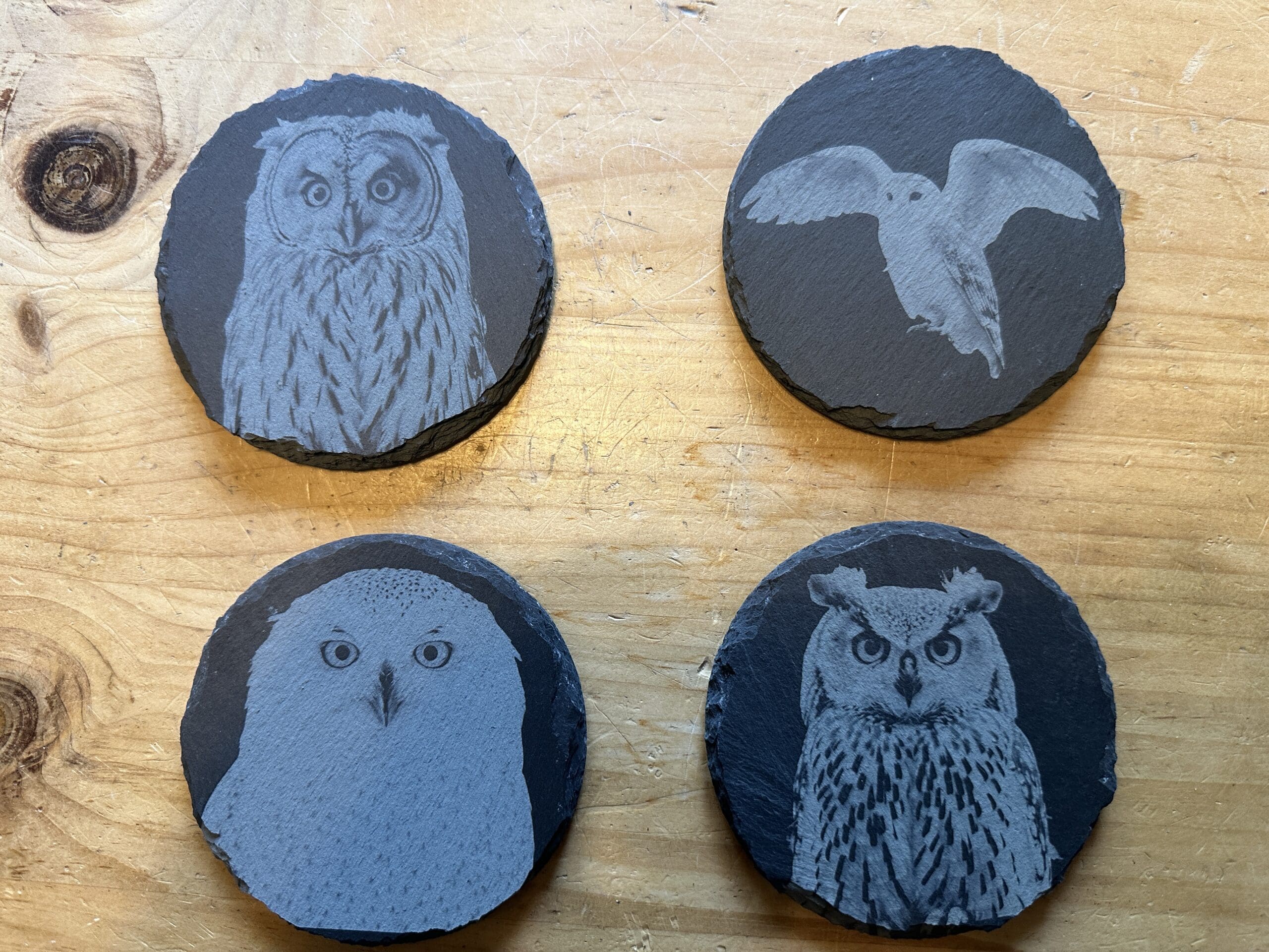 Set of four Owl Coasters