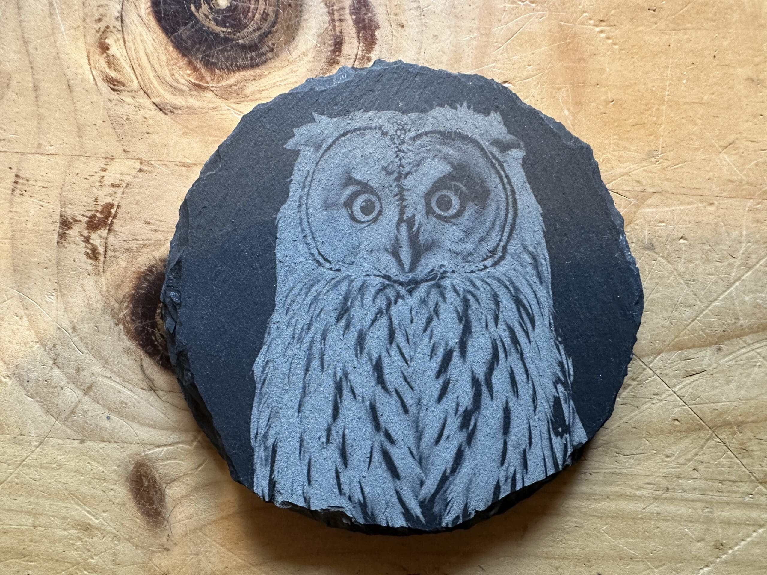 Great Grey Owl Coaster