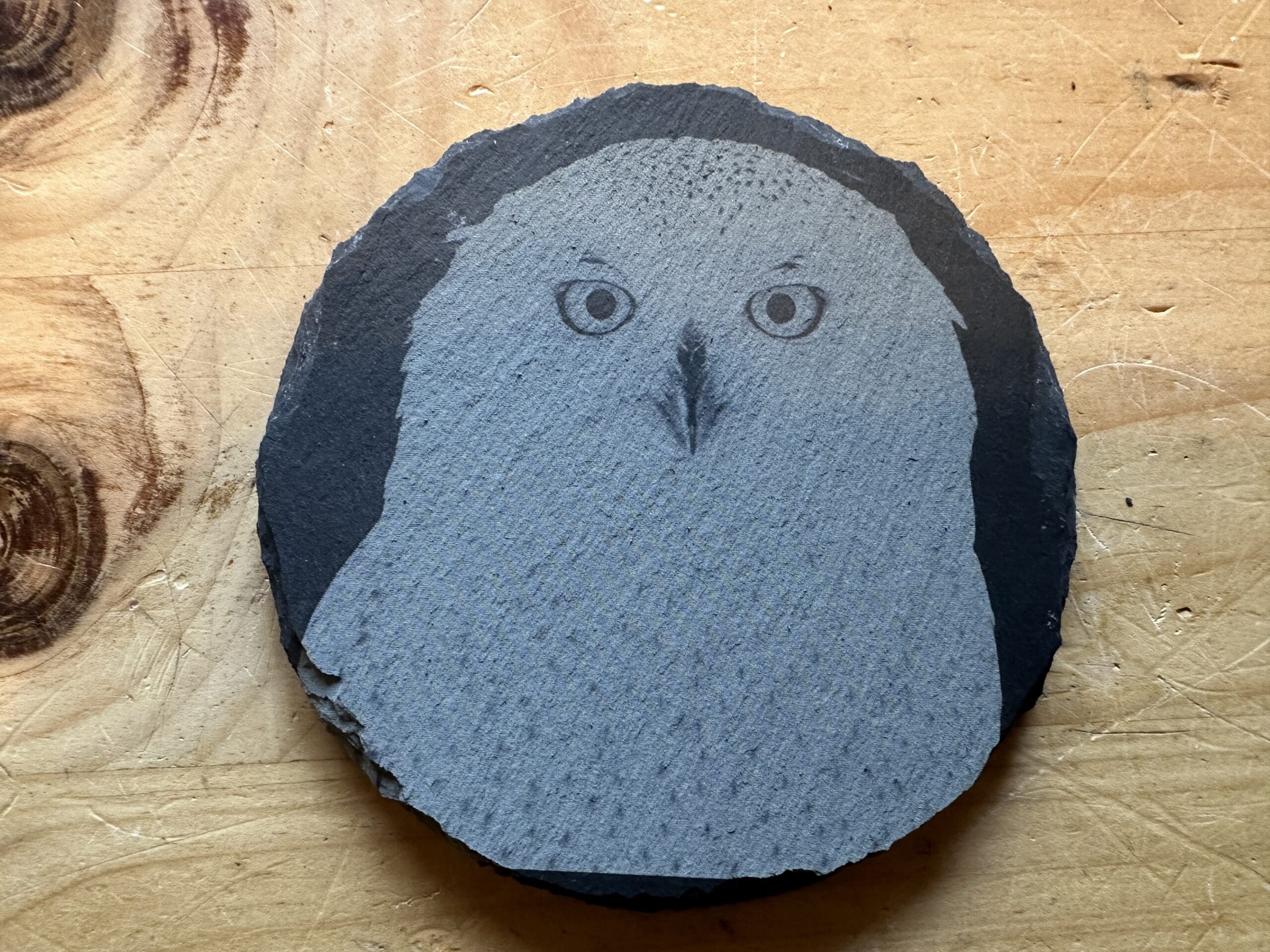 Snowy Owl Coaster