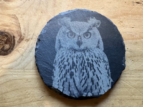 Horned Owl Coaster