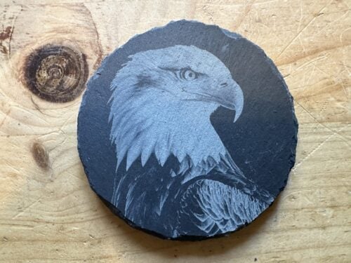 Bald Eagle Headshot Coasters