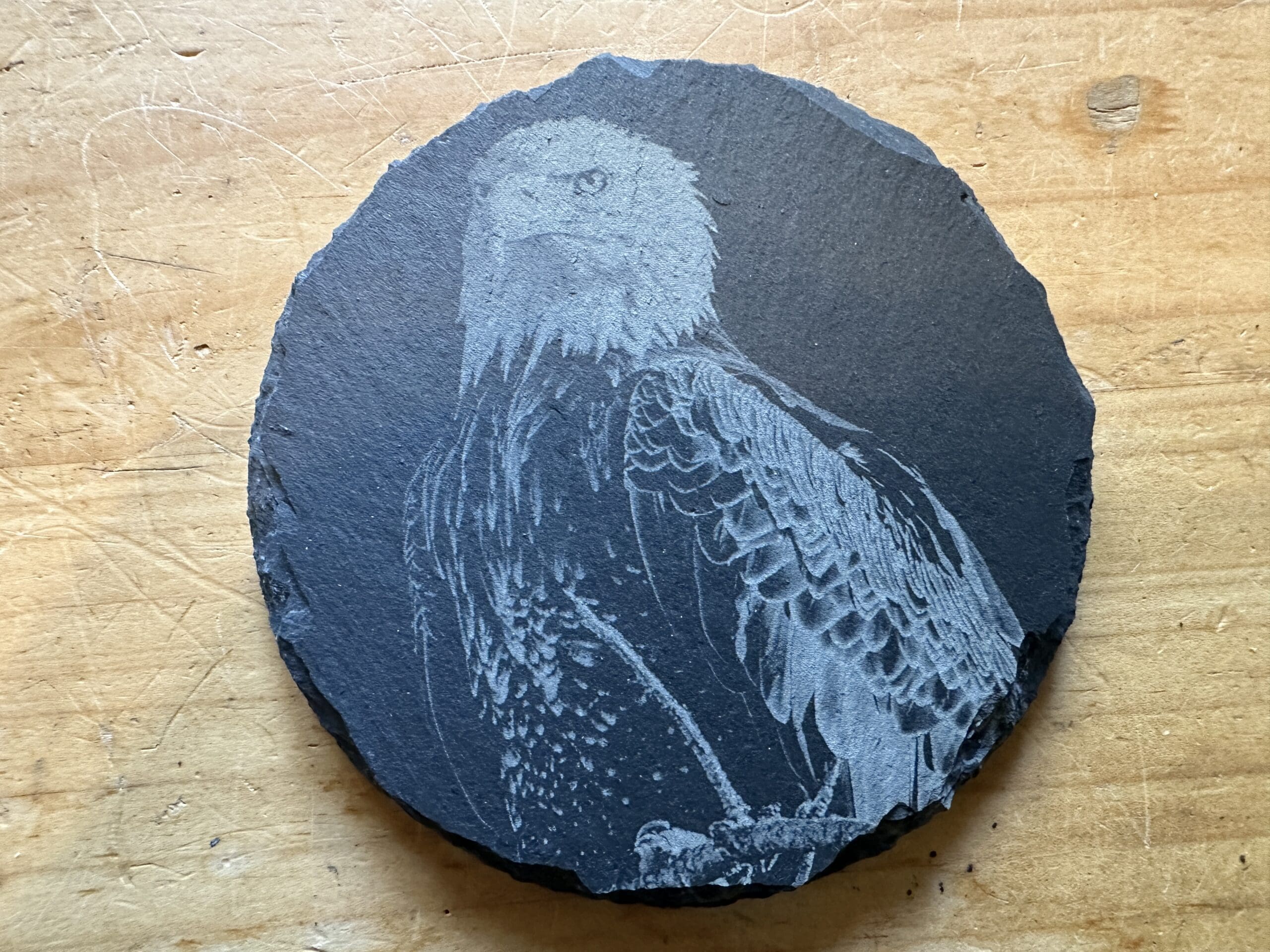 Stately Eagle Coaster