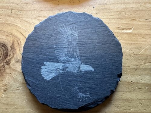 Eagle in flight Coasters