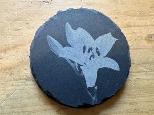 Lily Coaster