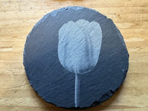 Daffodil Coaster